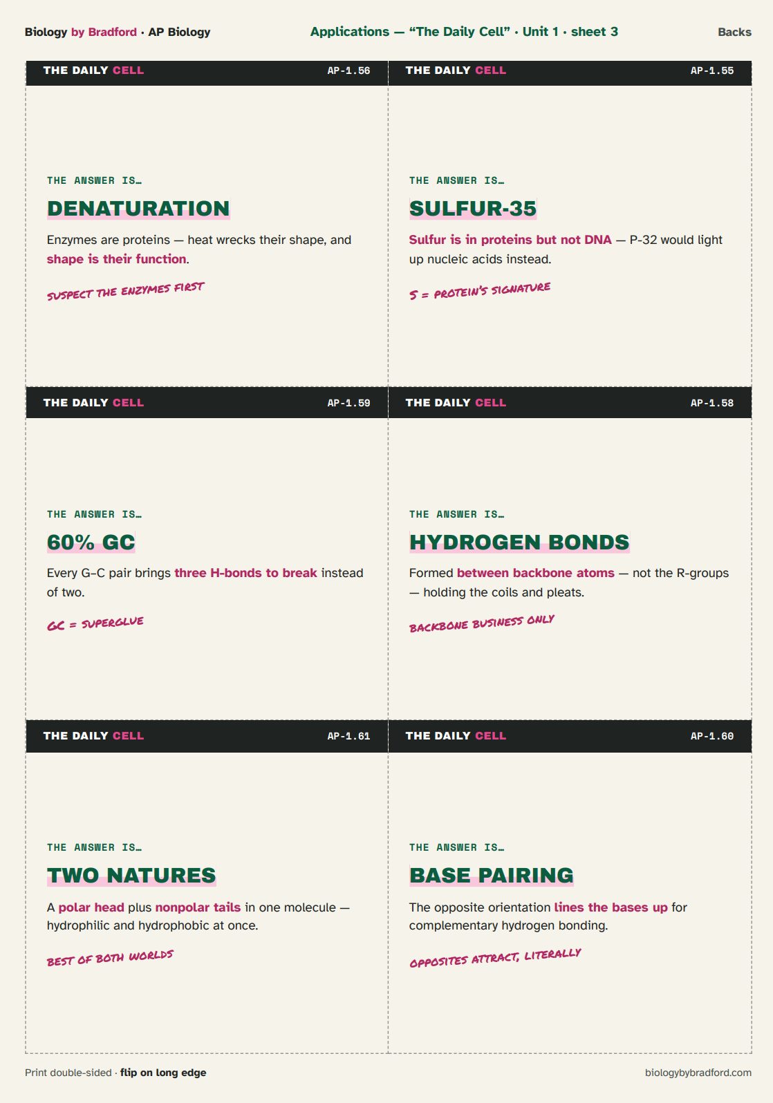 The Daily Cell application cards, answer side