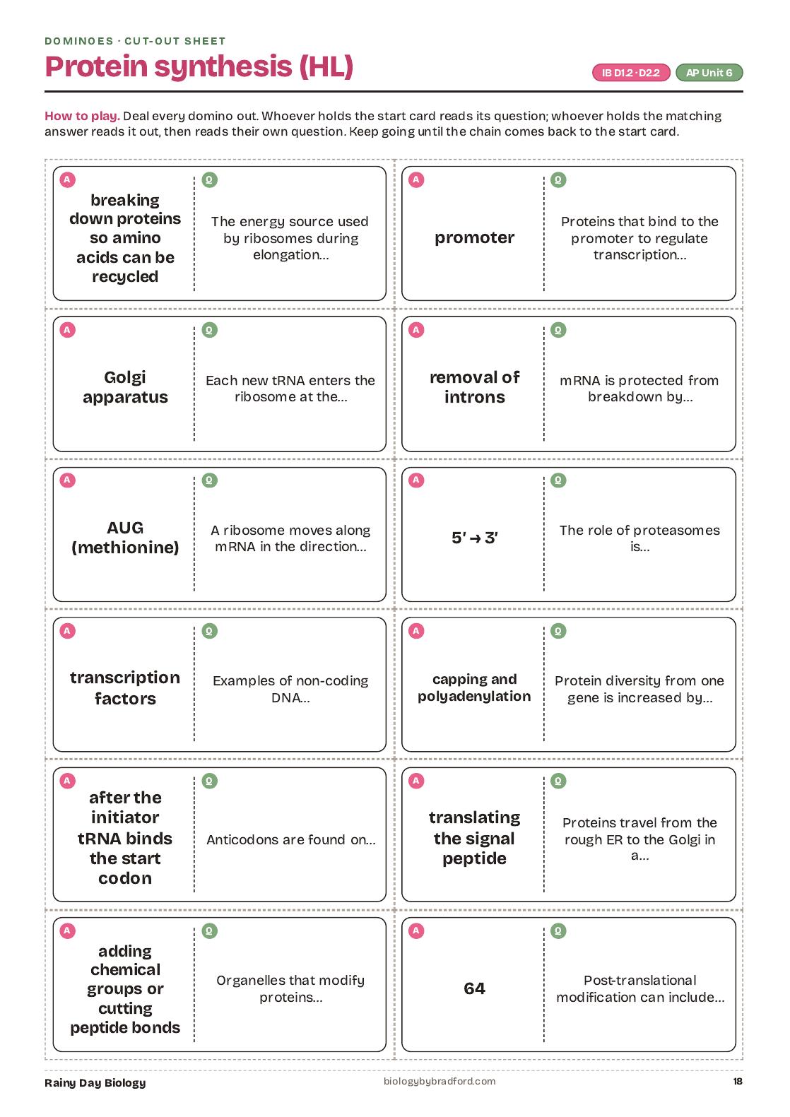 Triominoes: the stages of mitosis