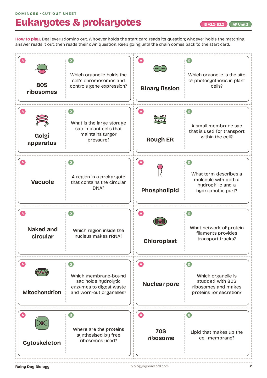 Dominoes: a cut-out sheet on eukaryotes and prokaryotes