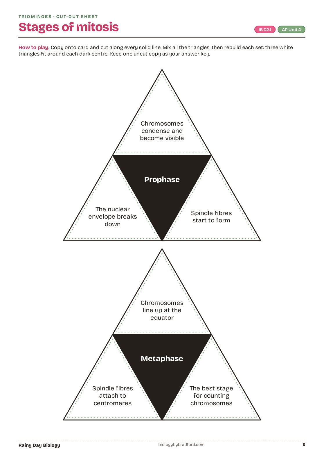 Triominoes: the stages of mitosis